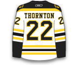 dres Shawn Thornton